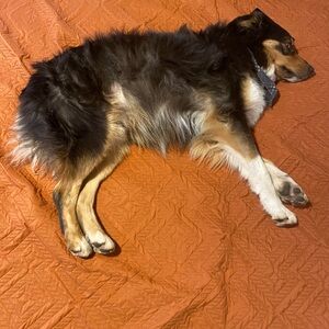 Meet your Posher, Diego